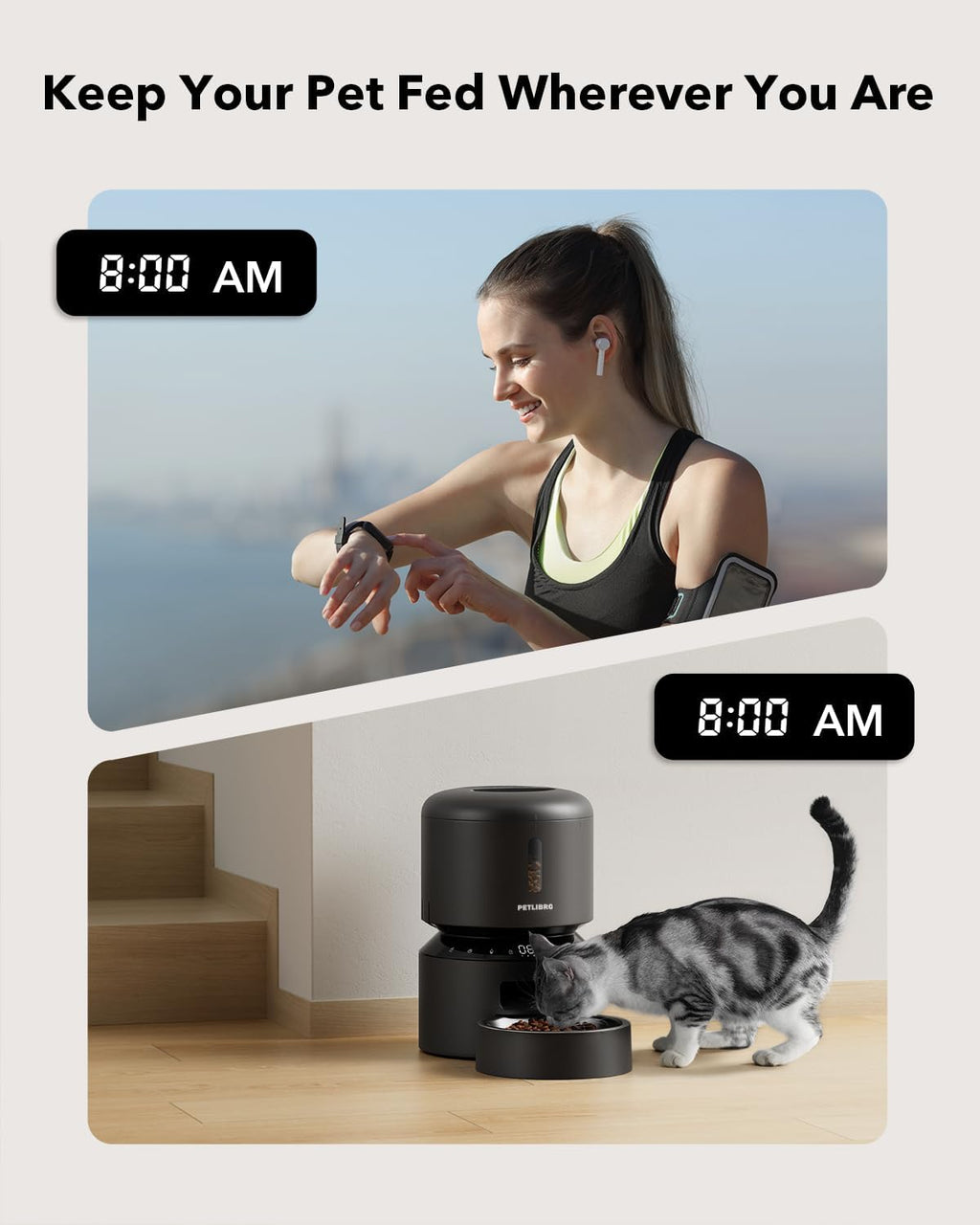 Smart Cat Feeder with Voice Calls