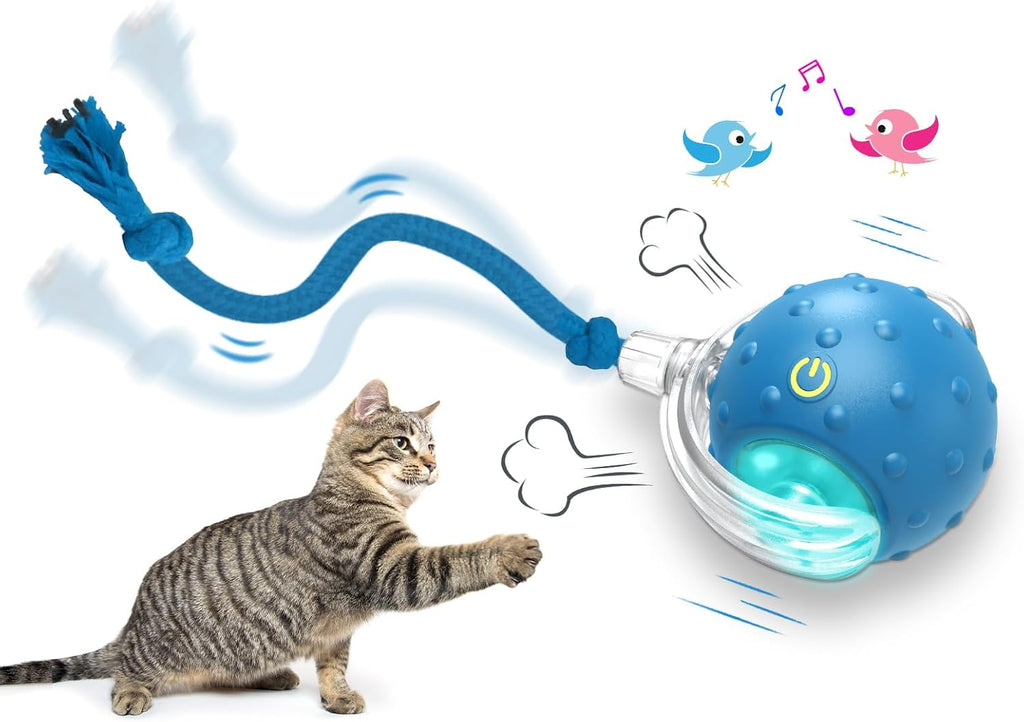 Chirping Cat Play Ball