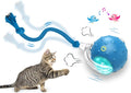 Chirping Cat Play Ball