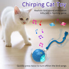 Chirping Cat Play Ball