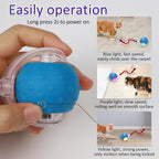 Chirping Cat Play Ball