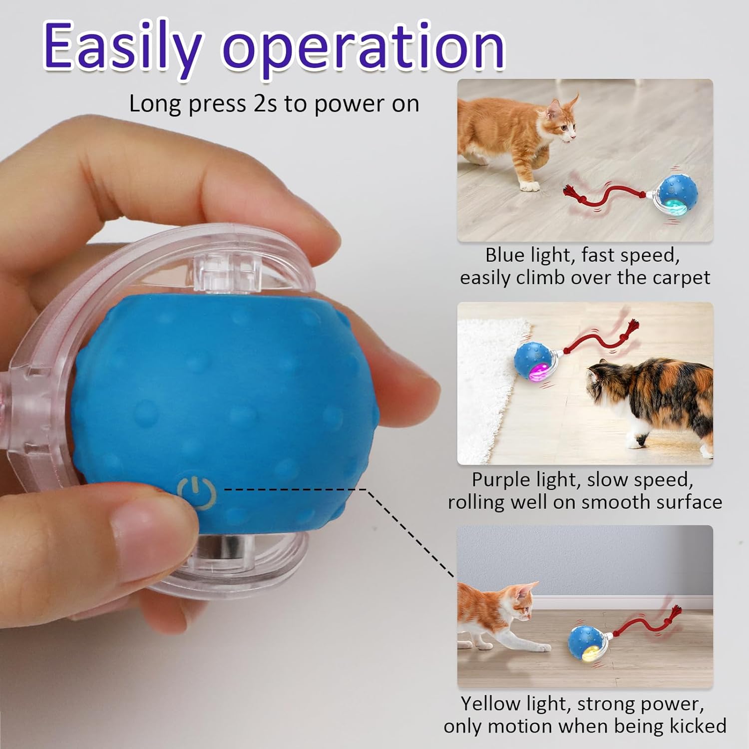 Chirping Cat Play Ball