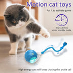 Chirping Cat Play Ball