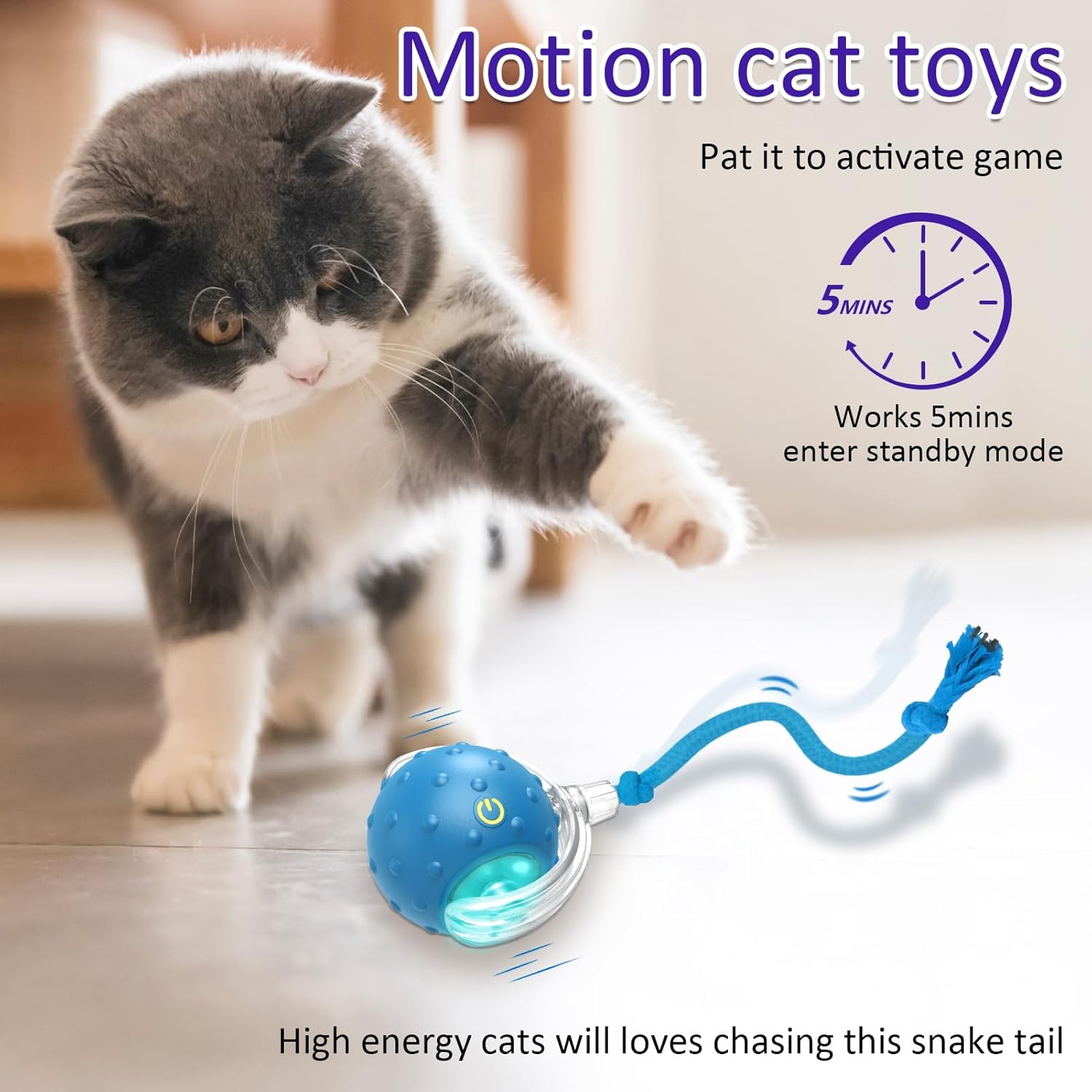 Chirping Cat Play Ball