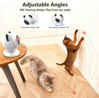 Saolife Laser Play for Cats