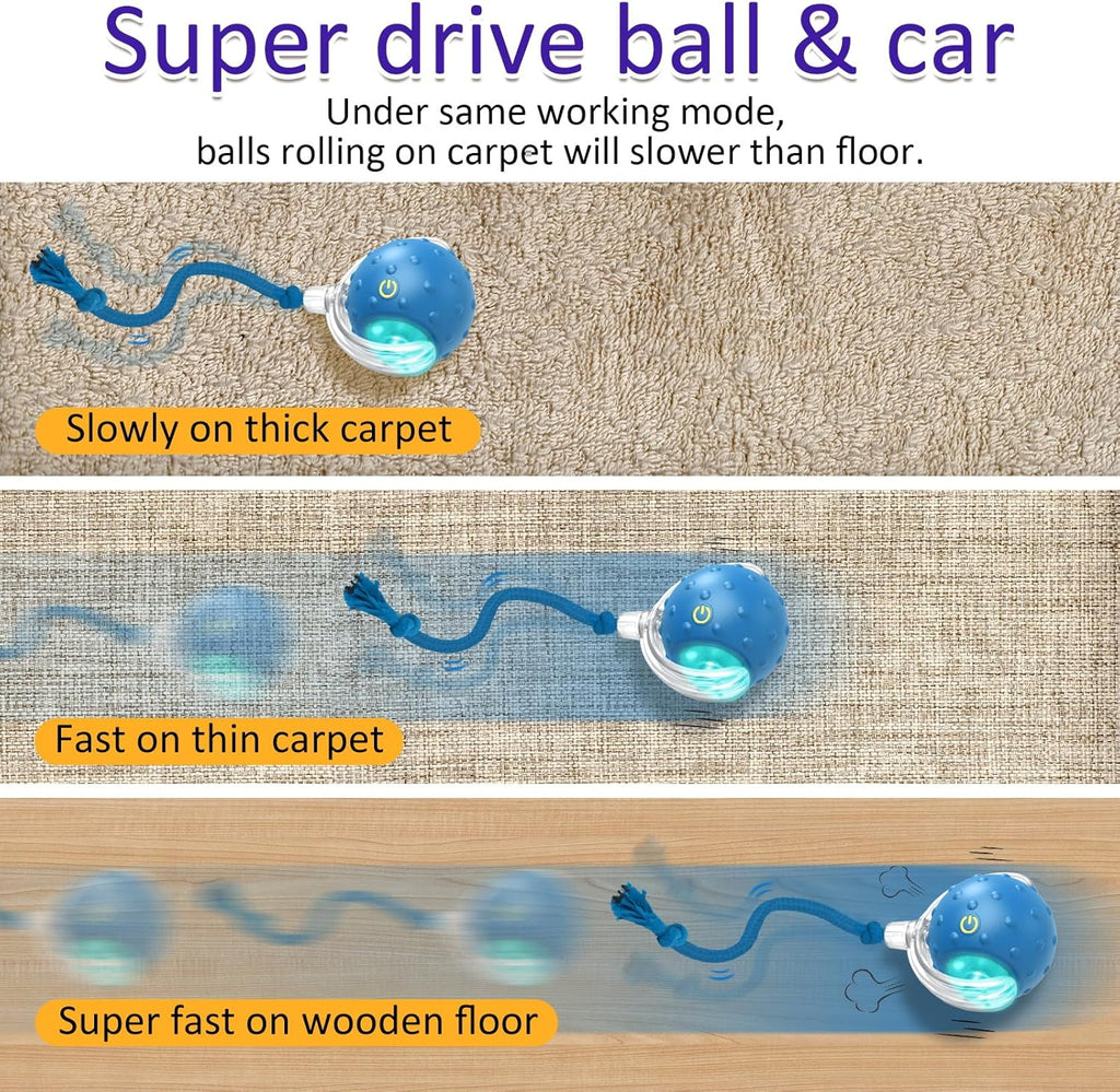 Chirping Cat Play Ball