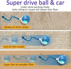 Chirping Cat Play Ball