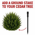Ground Stake for Your Cedar Tree